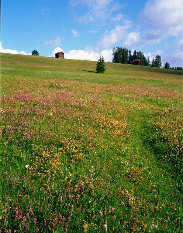 Ciasa Mirio' Daire La Valle Dış mekan fotoğraf