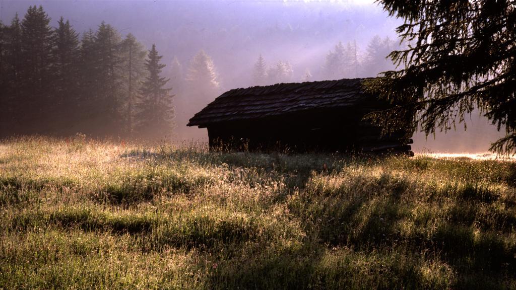Ciasa Mirio' Daire La Valle Dış mekan fotoğraf
